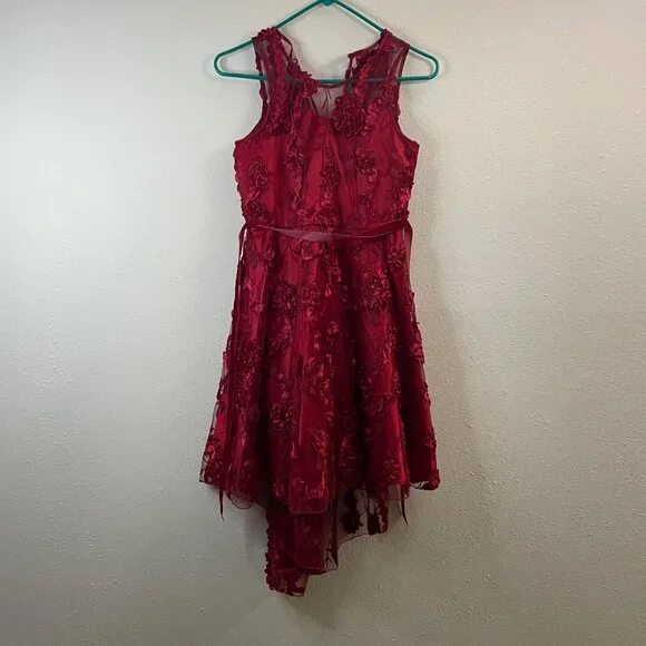 Rare Editions Big Girls Floral Soutache High-Low Social Dress, Size 14